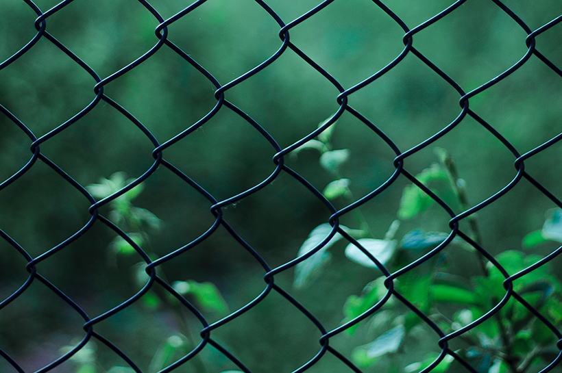 Plantas detrás de un alambrado